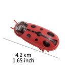 Electric Bug Cat Toy Automatic Interactive Catnip Chasing Toy