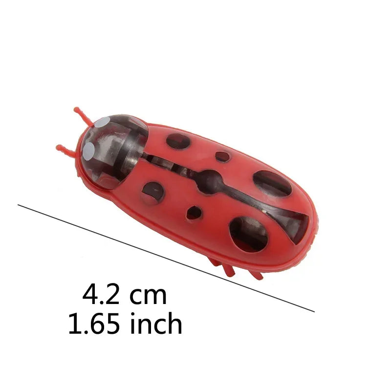 Electric Bug Cat Toy Automatic Interactive Catnip Chasing Toy