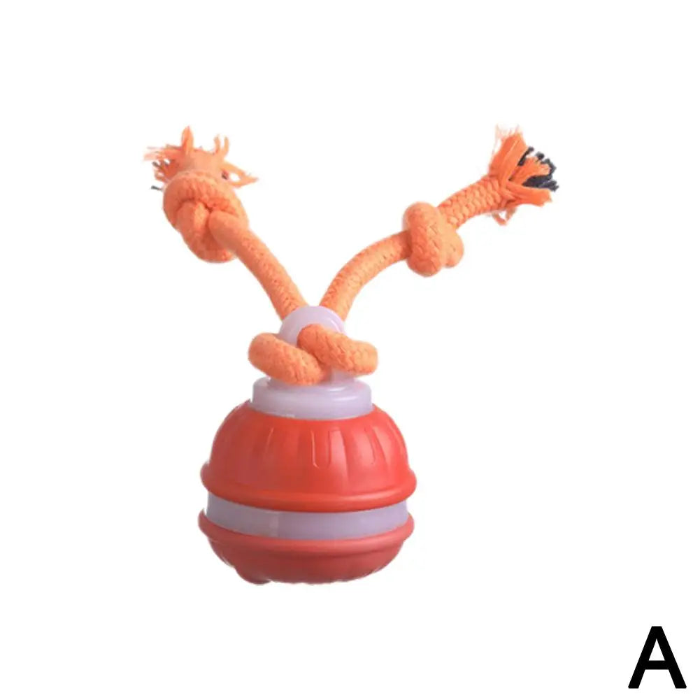 Interactive Motion Activated Dog Ball with Rope for Active Play