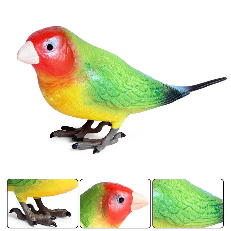 Realistic Bird Animal Figurine Collection