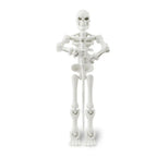 Halloween Magnetic Middle Ages Skeleton Posable Skeleton Human Shape Bones Halloween Haunted House Horror Props Skeleton Doll