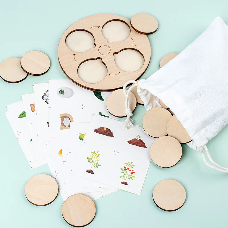 Montessori Animal and Plant Life Cycle Biology Model Toy Set