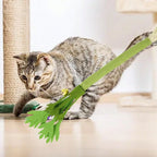 Silvervine Cat Toy Realistic Celery Chew Toy with Bell for Cats