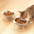 304 Stainless Steel Elevated Pet Bowl: Angled Tilted Feeder with Neck Support, Heat-Resistant & Easy-Clean for Crate or Home Use