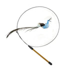 Peacock Bird Cat Teaser Wand for Interactive Hunting and Play