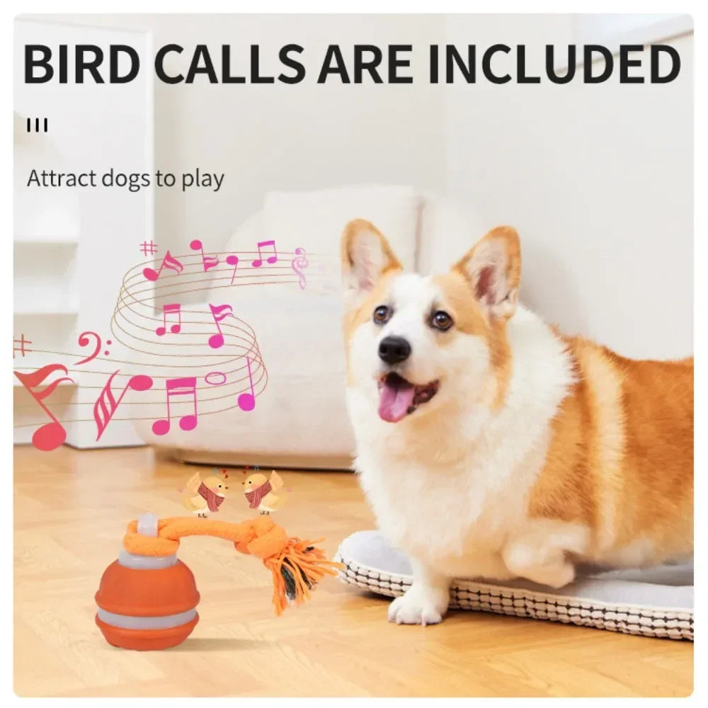 Automatic Interactive Rolling Ball Dog Toy for Smart Active Play