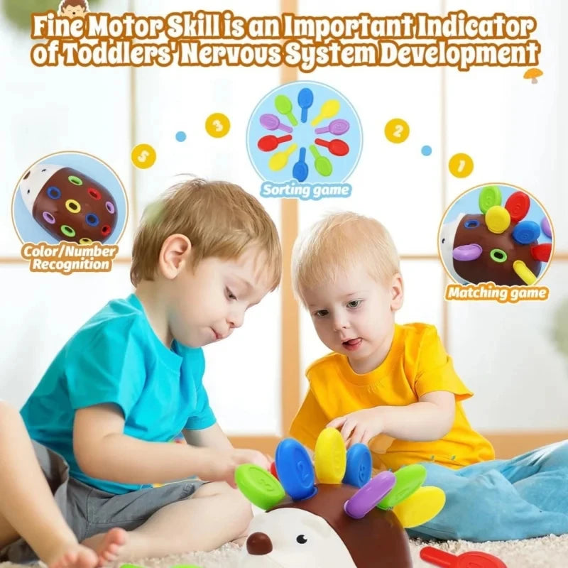 Sensory Hedgehog Fine Motor Toy