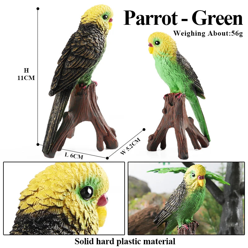 Realistic Bird Animal Figurine Collection