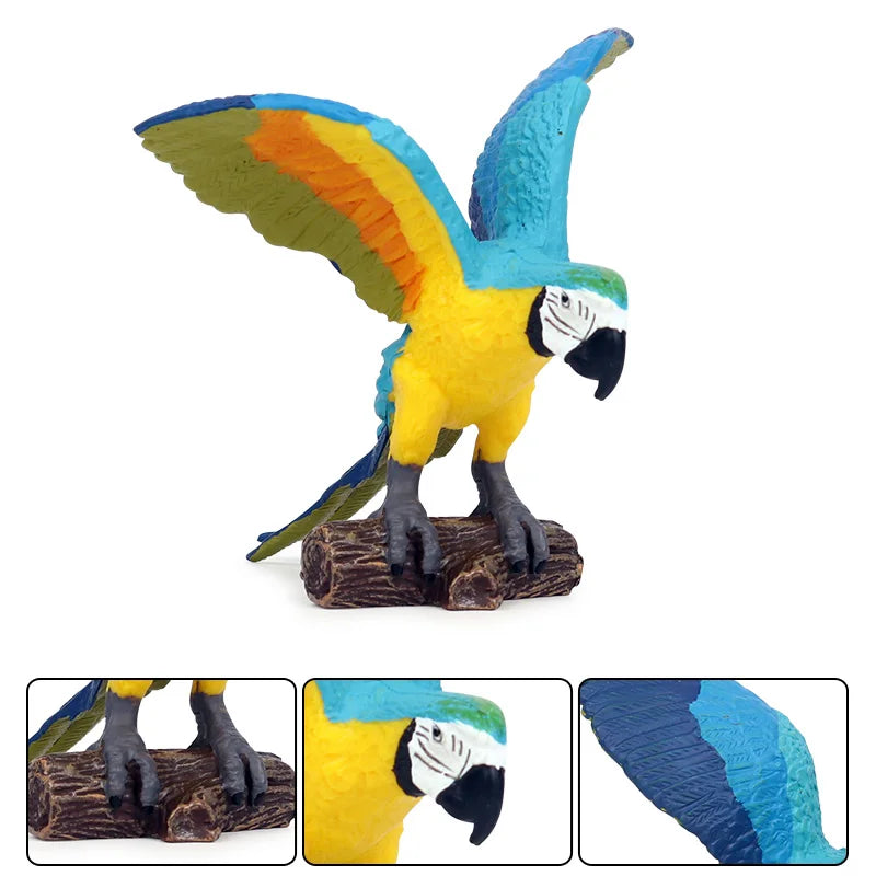 Realistic Bird Animal Figurine Collection