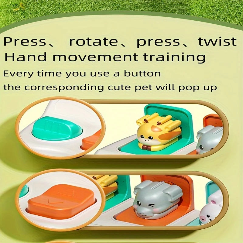 Montessori Pop Up Animal Learning Box