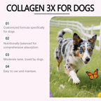 Dog Liquid Collagen Drops Intestine Repair Improve Digestive System Health Nourish Skin Coat Dogs Dietary Nutrition Care Agent