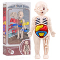 Montessori Human Body Anatomy Model DIY Learning Kit