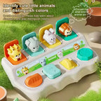 Montessori Pop Up Animal Learning Box