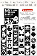 Baby Visual Stimulation Montessori High Contrast Flash Cards