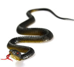45cm Fake Realistic Rubber Toy Snake Simulation Anaconda Scary Halloween To Scare Birds Props Prank Trick Toy Accessories