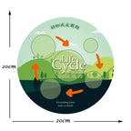 Montessori Animal and Plant Life Cycle Biology Model Toy Set