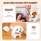 Electric Jumping Lobster Cat Toy for Interactive Indoor Hunting Play