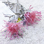 Artificial Flowers Short Branch Crab Claw 2 Fork Pincushion Festival Garland Vase for Home Wedding Room Decoration Fake Planting