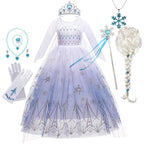 Girls Elsa Frozen Snow Queen Mesh Princess Dress Costume