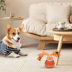 Interactive Motion Activated Dog Ball with Rope for Active Play