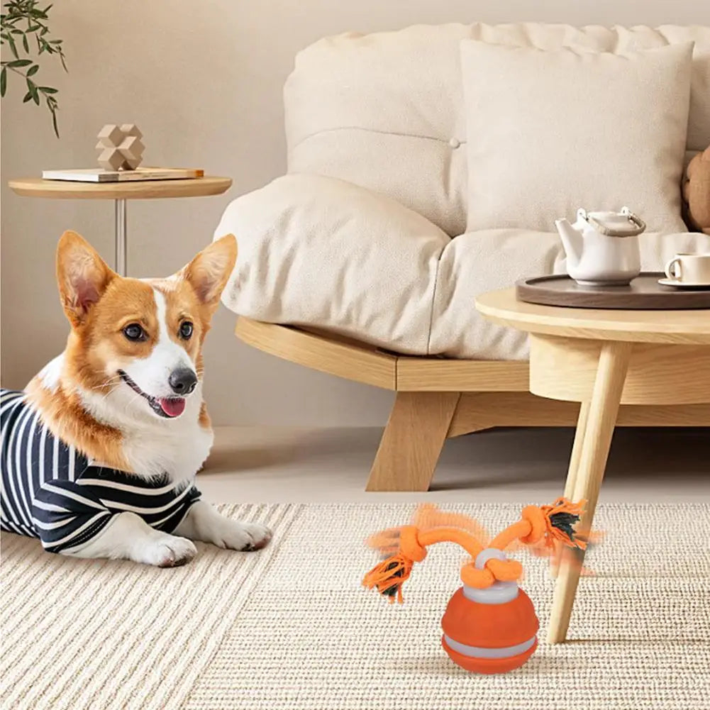 Interactive Motion Activated Dog Ball with Rope for Active Play