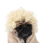 Pet Wig Dog Wig Pet Supplies Halloween Pet Accessories Curly Hair Straight Hair Cat Wig It Can Be DIY Trimmed