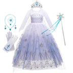 Girls Elsa Frozen Snow Queen Mesh Princess Dress Costume