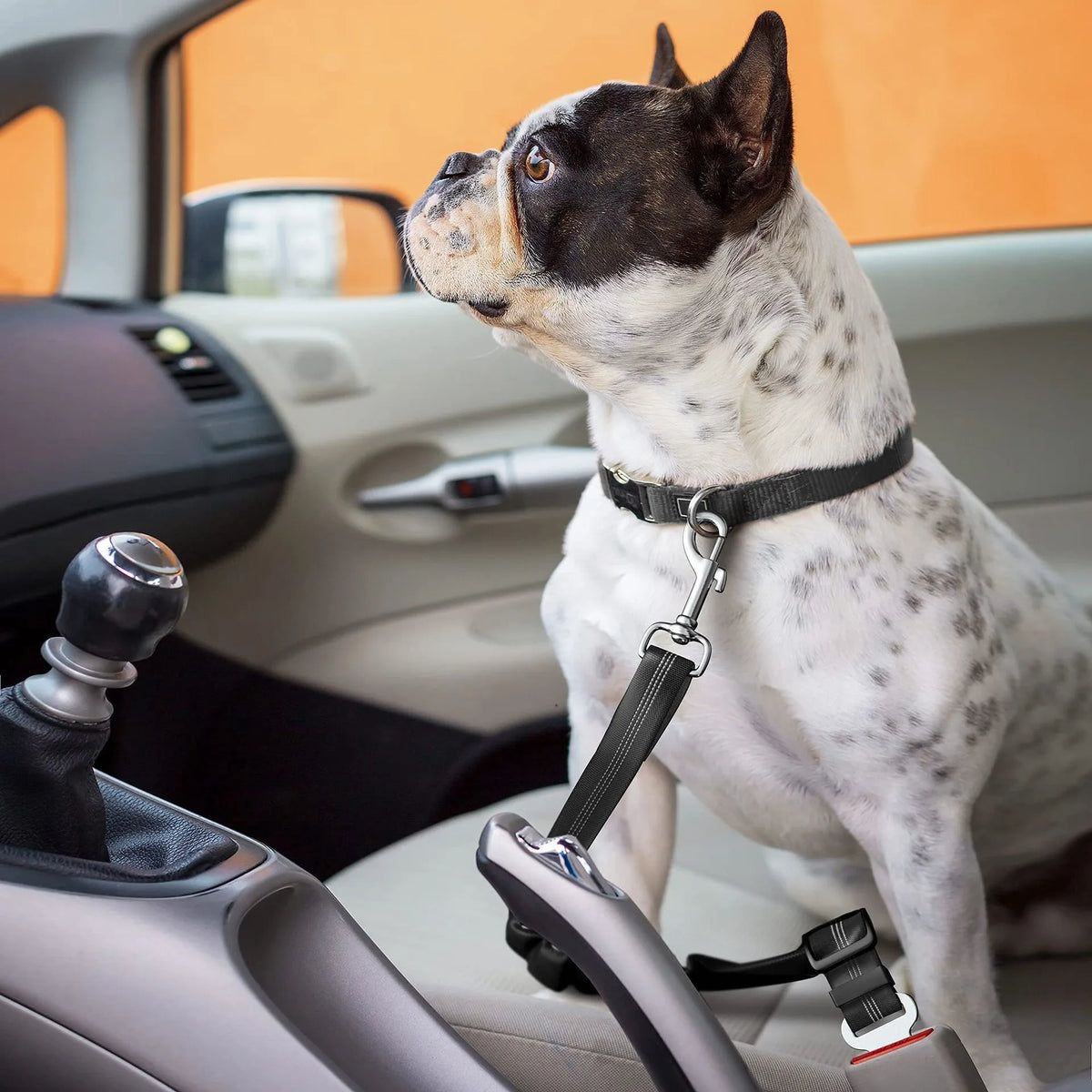 1PCS High Grade Dog Car Safety Belt Dog Safety Belt with Damping Belt and Reflective Line Adjustable Length Suitable Any Dog