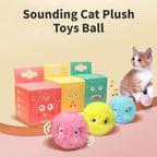 Smart Interactive Catnip Ball Toy for Indoor Cats and Kittens Play