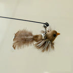 Interactive Bird Feather Cat Wand Toy for Indoor Hunting Play