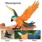 Realistic Bird Animal Figurine Collection