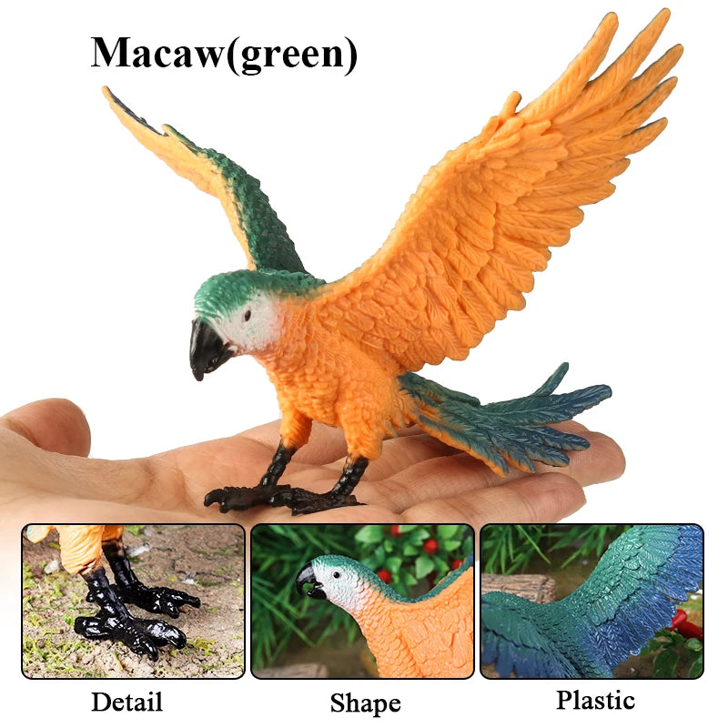 Realistic Bird Animal Figurine Collection