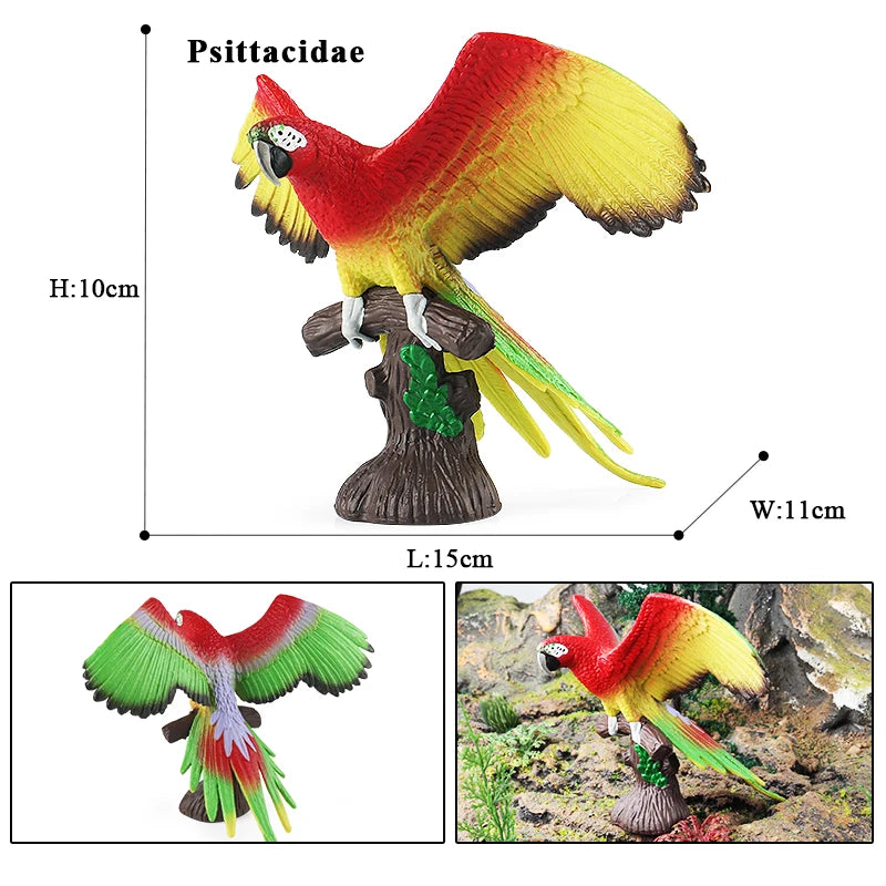 Realistic Bird Animal Figurine Collection
