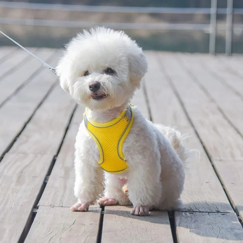 Pet Harness Vest Chest Rope Set for Small Medium Dog Outdoor Walking with 1.5m Rope Reflective Breathable Adjustable Pet Harness