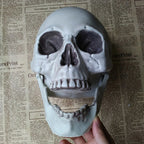 Halloween Skull Decoration,Realistic Plastic Skull,Head Skeleton,Halloween Party Home Yard Decoration,Haunted House Horror Props