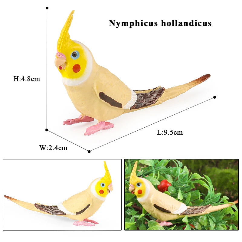 Realistic Bird Animal Figurine Collection
