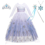 Girls Elsa Frozen Snow Queen Mesh Princess Dress Costume