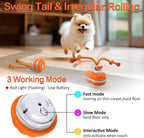 Automatic Interactive Rolling Ball Dog Toy for Smart Active Play