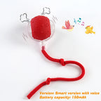 New Cat Interactive Ball Toy Automatic Rolling Cat Ball Rechargeable Smart Kitten Interactive Toy Intelligent Balls Toy for Cat