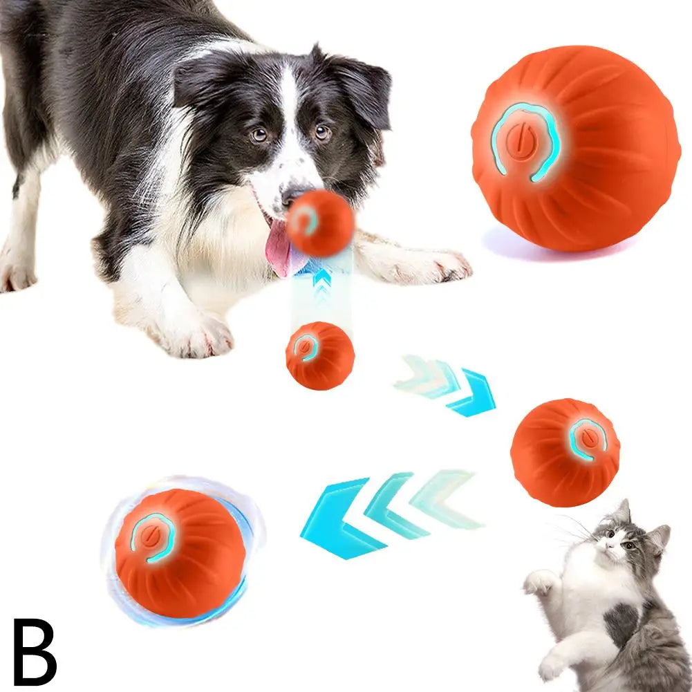 Interactive Motion Activated Dog Ball with Rope for Active Play