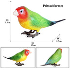 Realistic Bird Animal Figurine Collection