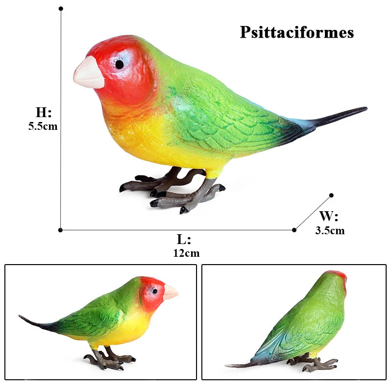 Realistic Bird Animal Figurine Collection