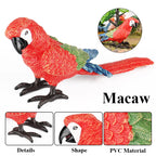 Realistic Bird Animal Figurine Collection