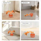 Interactive Motion Activated Dog Ball with Rope for Active Play