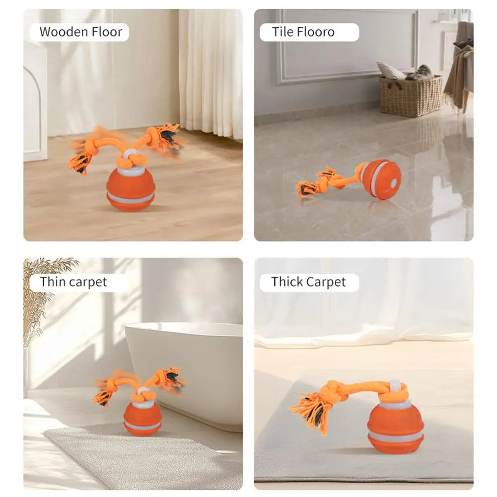 Interactive Motion Activated Dog Ball with Rope for Active Play