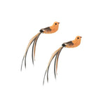 Peacock Bird Cat Teaser Wand for Interactive Hunting and Play