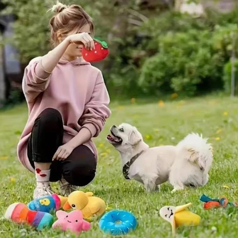 16 Pack Random Squeaky Dog Plush Toy Set Mixed Fruit Animal Stuffed Chew Toys Interactive Teething Pet Toy Gift Pack