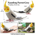 Realistic Bird Animal Figurine Collection