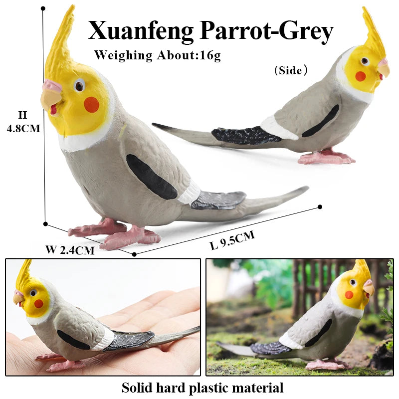 Realistic Bird Animal Figurine Collection