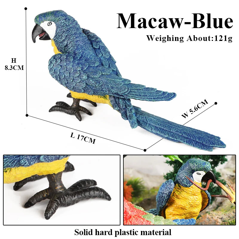 Realistic Bird Animal Figurine Collection